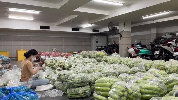 The spirit of solidarity and mutual love to together battle the pandemic